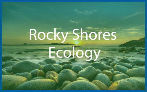 Rocky Shore Ecology